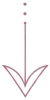 seta